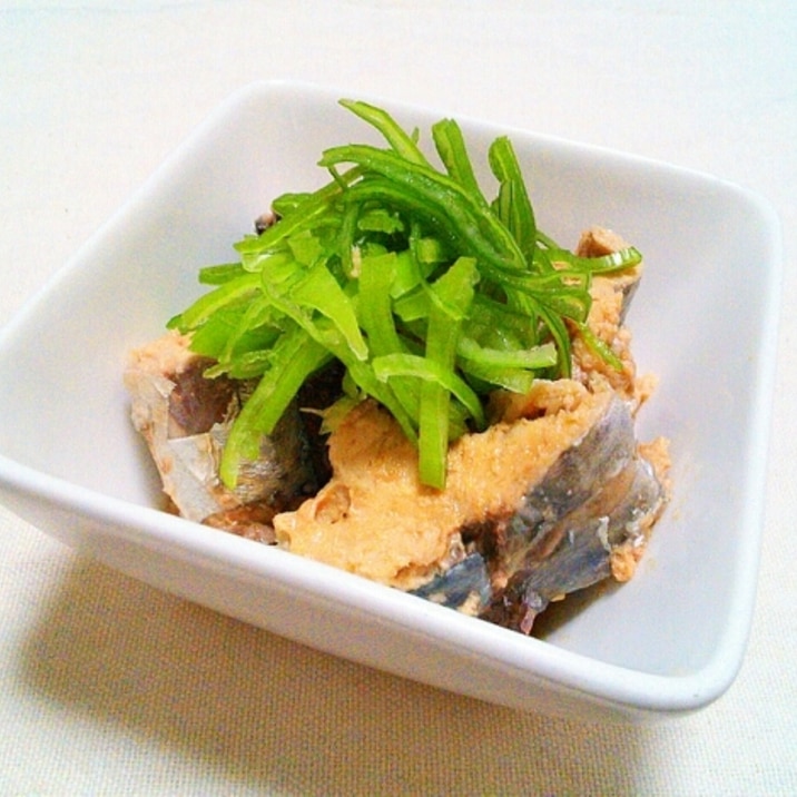 酒が進む~!鯖の水煮缶ネギたっぷりのっけ♡